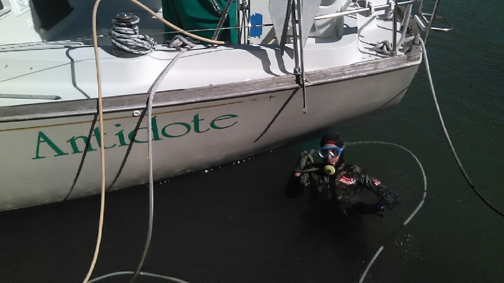 pinellas boat bottom cleaning