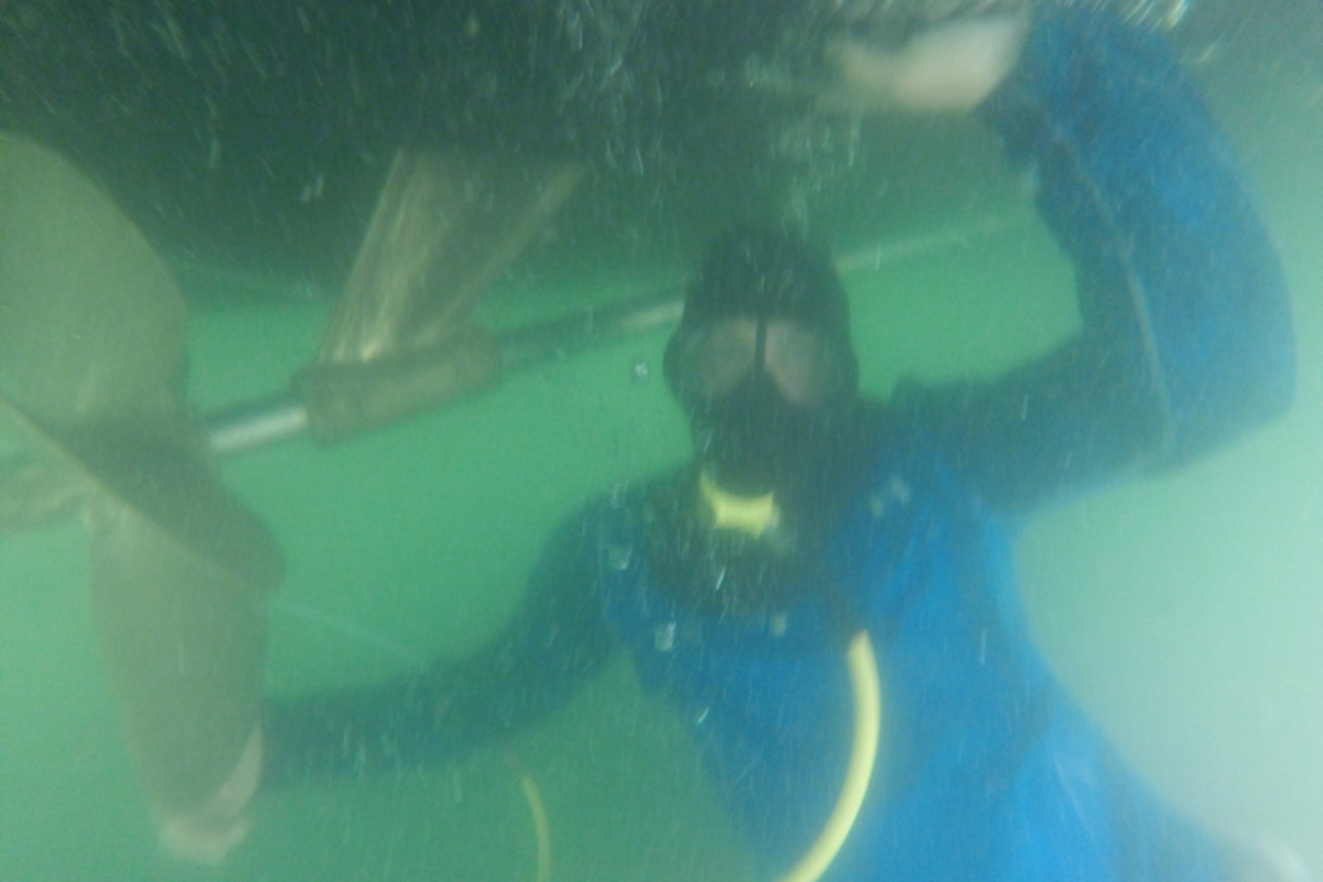Boat Hull Cleaning July 2016 Down Under Dive Service, Inc.