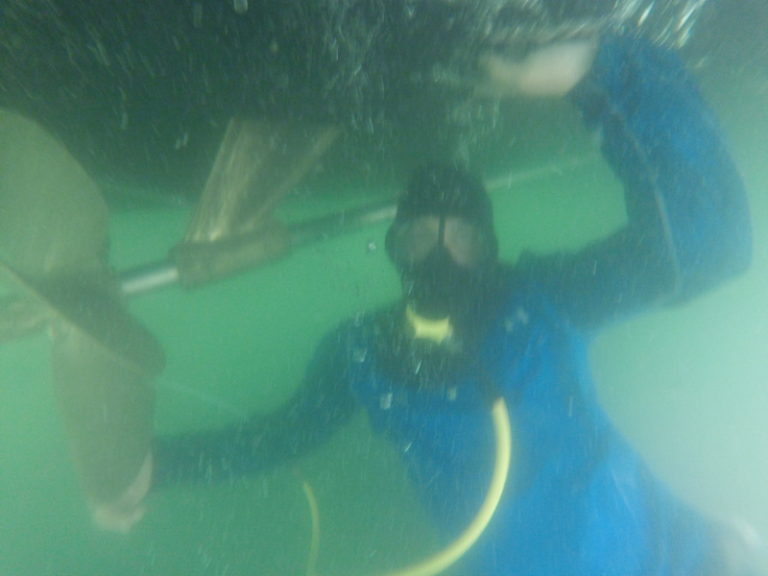 Boat Hull Cleaning In Florida Summer Down Under Dive Service, Inc.