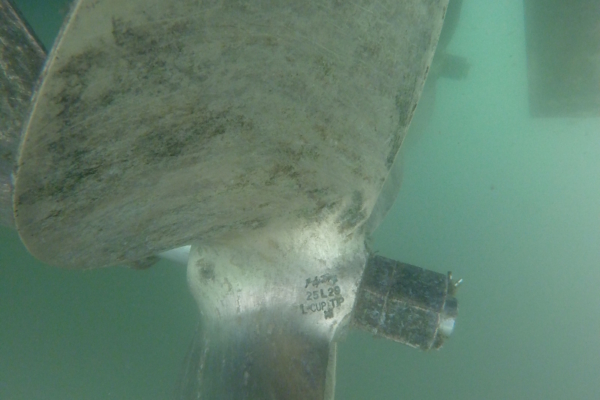 propeller after cleaning in clearwater fl