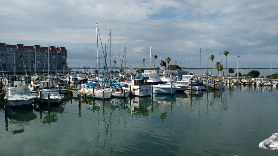 dunedin municipal marina - dive service