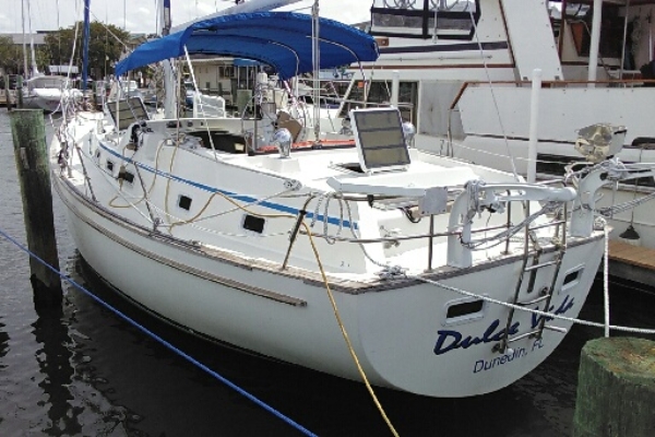 dunedin marina dive services