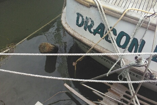 irma boat damage clearwater fl