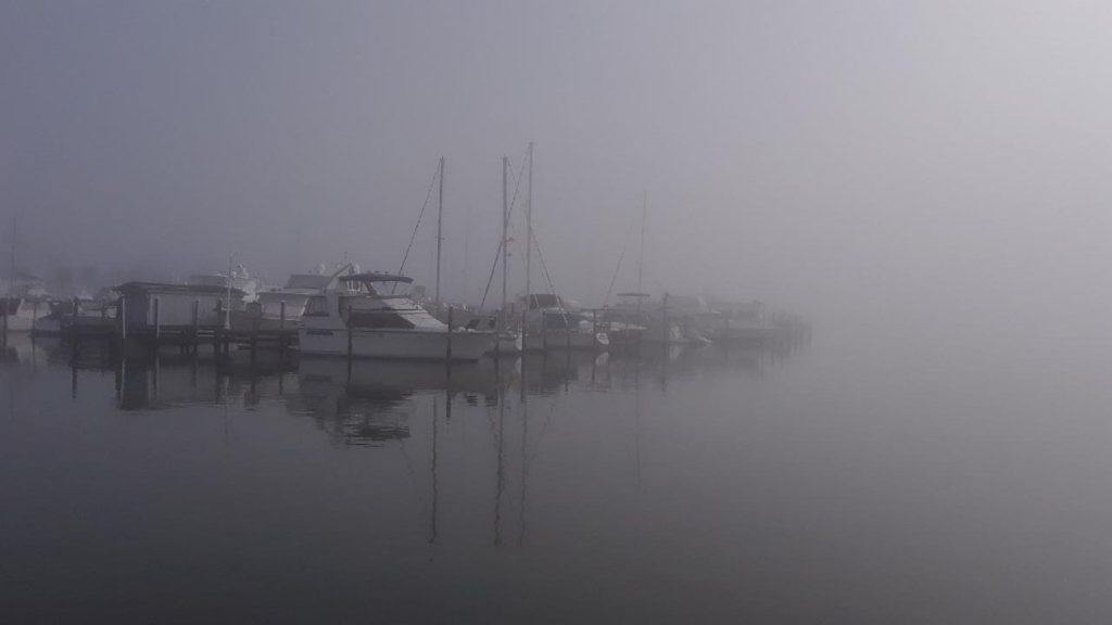 clearwater municipal marina on a foggy day