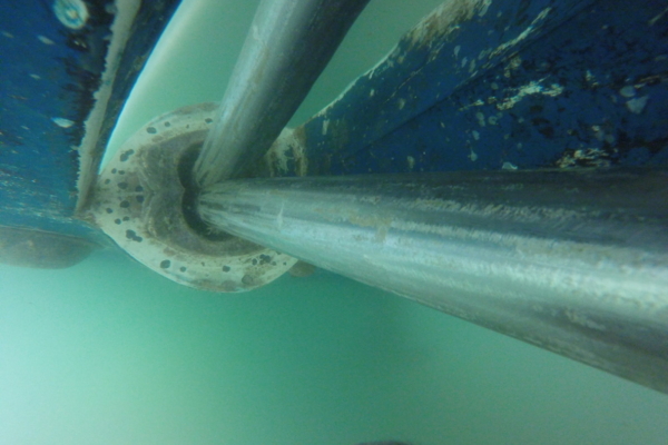 running gear after dive service cleaning clearwater fl