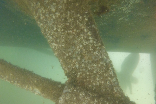 running gear covered in barnacles